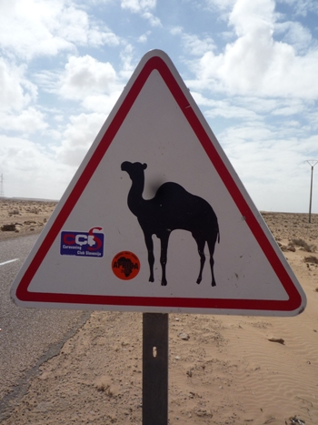 Afrika 2012 - Laayoune - Boujdour