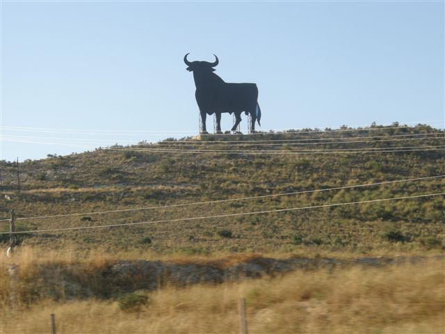 Cvet in Mateja v Maroku