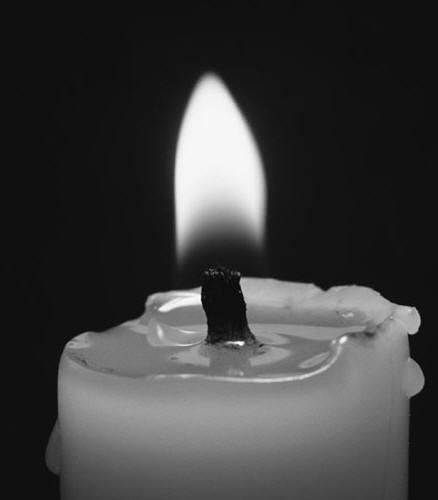 In Memoriam