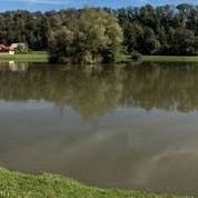 srečanje Pesnica - Dragica Pečar, Konrad Hohler, Jože Murn