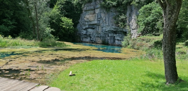 22.-24.5.2026 - Tam kjer breze šelestijo - Bela Krajina
