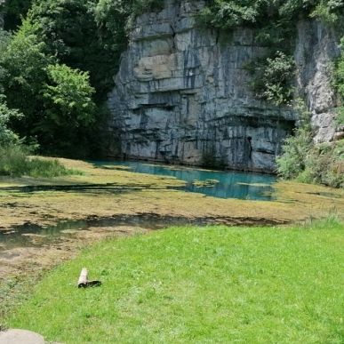 22.-24.5.2026 - Tam kjer breze šelestijo - Bela Krajina